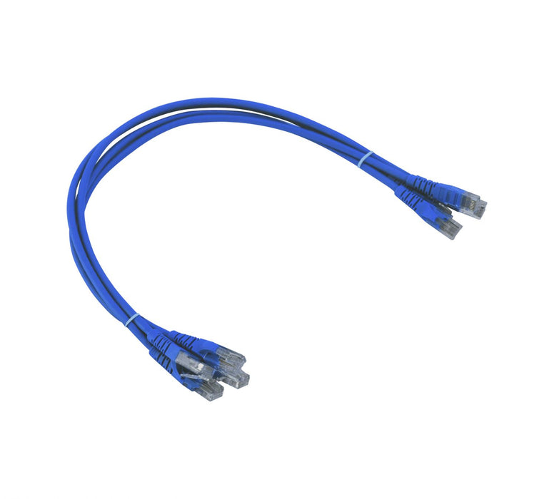 Cable de parche azul Cat6 de 50cm inyectado con Clickbox