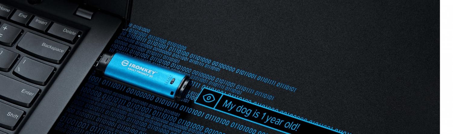 Pendrive encriptado Kingston 32GB USB-AM Clickbox